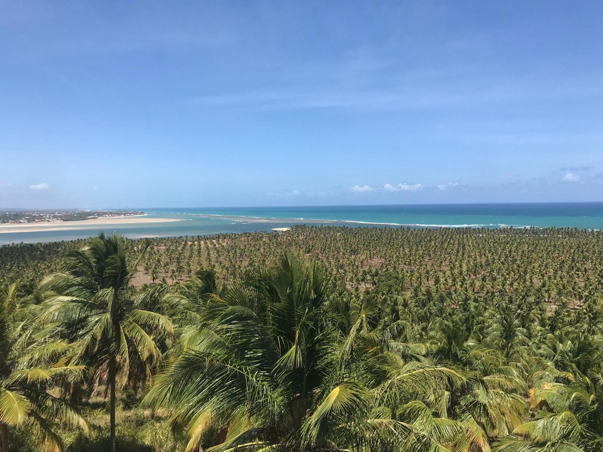 Hilton Garden Inn Maceio Bagian luar foto